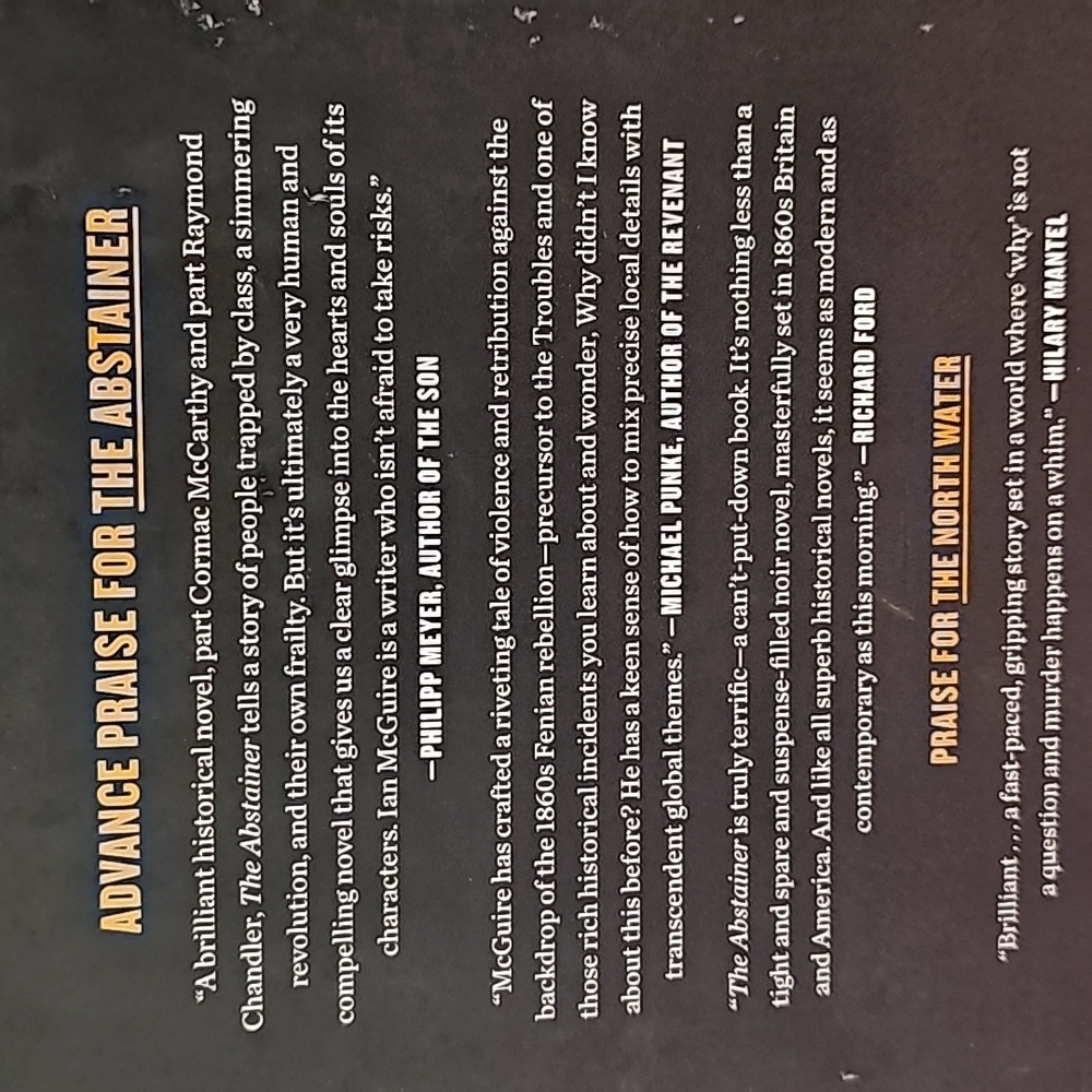The Abstainer - Picture 3 of 8